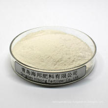 Qingdao Agriculture Use Offwhite Powder Crab Shell  from CN Chitin Powder Natural Chitosan